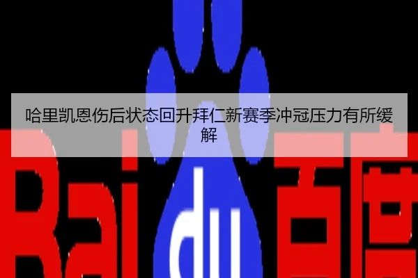 哈里凯恩伤后状态回升拜仁新赛季冲冠压力有所缓解